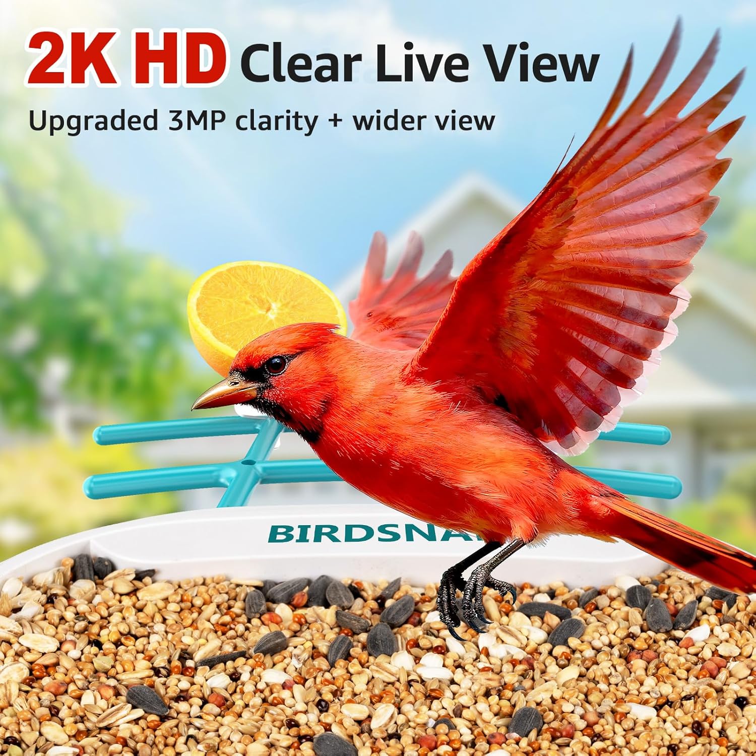 2K HD Bird Feeder Camera with  - огляд і ціна Watches & Jewelry Lvmh